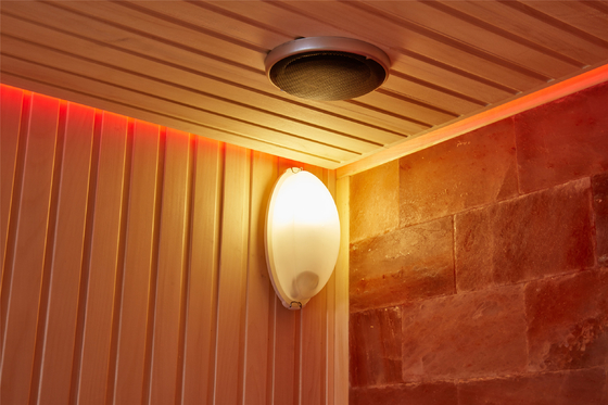 Özelleştirilmiş Lüks Kaya Taş Tuz Spa Odası Kapalı Ahşap Kırmızı Sedir Aspen Sauna Odası
